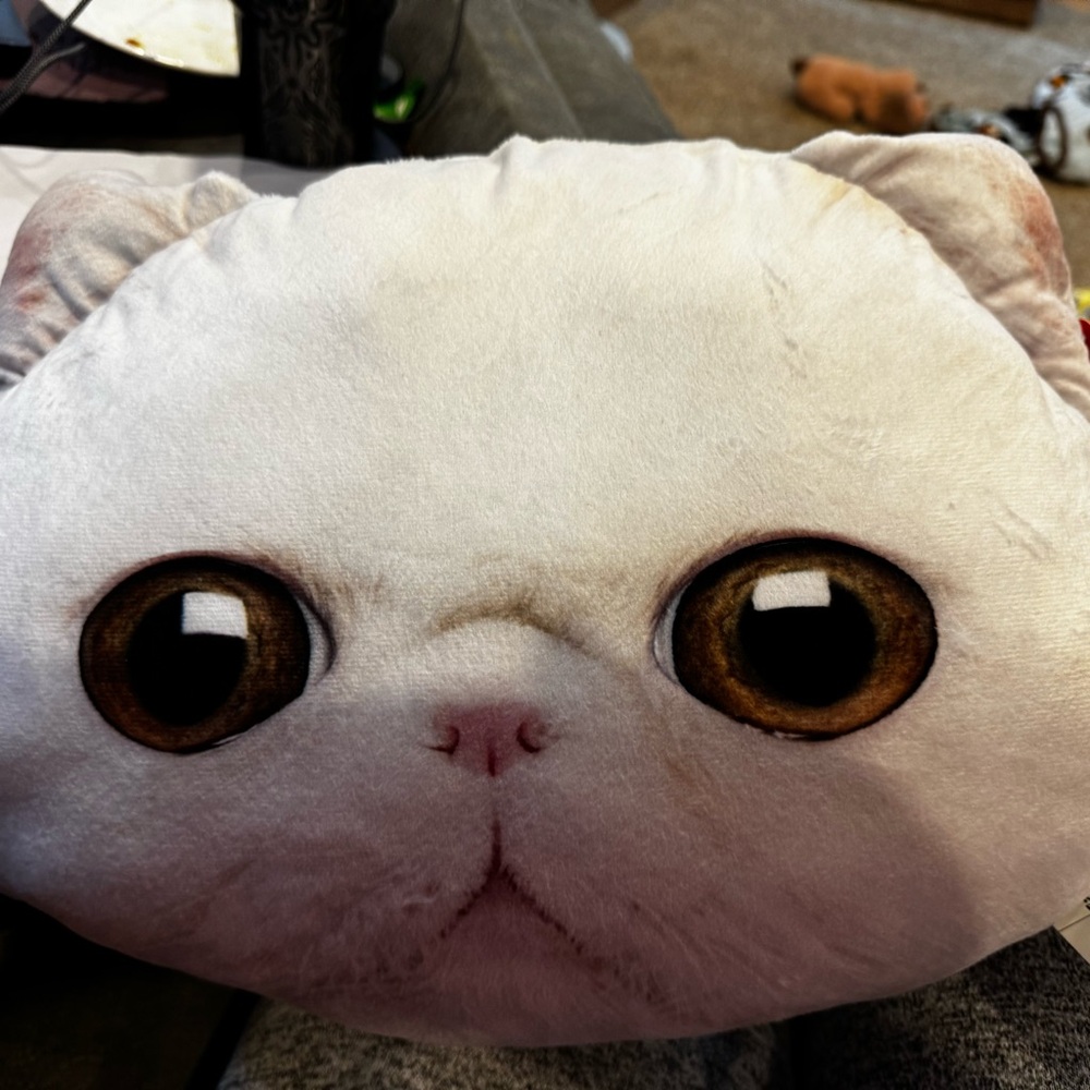 Pet Face on a Pillow!!White Cat Face Plush Pillow
